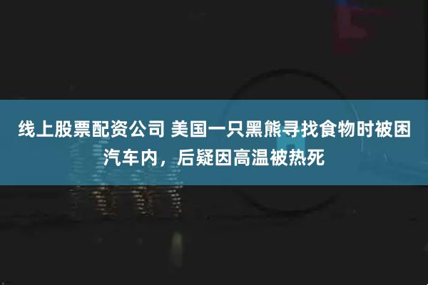 线上股票配资公司 美国一只黑熊寻找食物时被困汽车内，后疑因高温被热死
