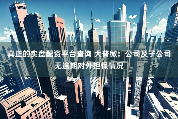 真正的实盘配资平台查询 大普微:公司及子公司无逾期对外担保情况